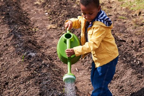 A young Black child waters a crop row with a green watering can