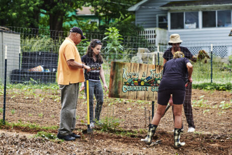 a group of people working in a community garden.
